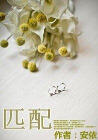 匹配（娛樂圈）