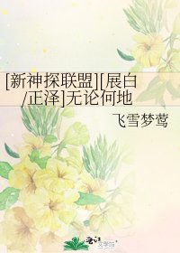[新神探联盟][展白/正泽]无论何地